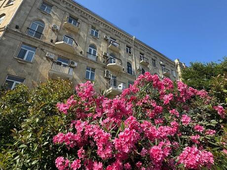 2 otaqlı mənzil, 60 m², İçəri Şəhər: 290 000 ₼ 3
