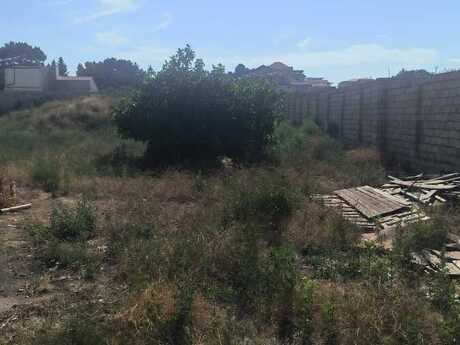 Elan №6267195 - Bakı, Bilgəh q., 13 sot