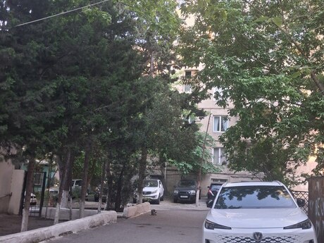1-комн. вторичка - м. Элмляр Академиясы - 38 м²