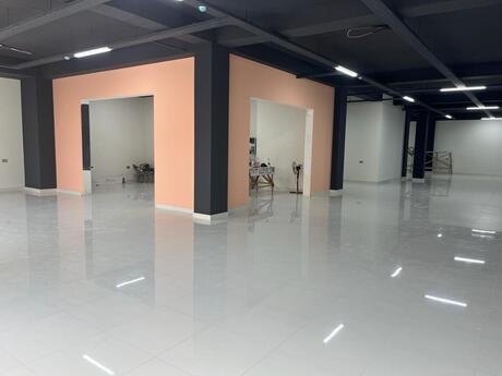 Объект - м. 8 ноября - 350 м²