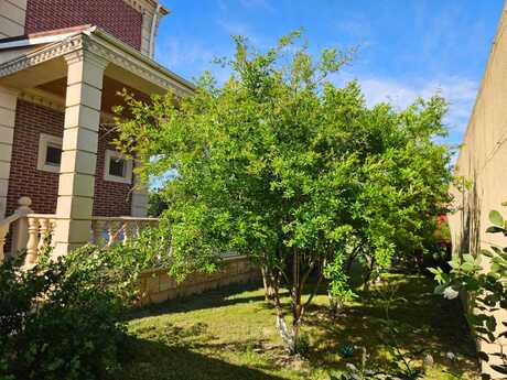 8 otaqlı həyət evi, 168 m², Binə: 370 000 ₼ 4
