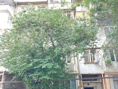 Elan №6271428 - Bakı, Elmlər Akademiyası m., 2 otaqlı, 50 m², 5/5 mərtəbə