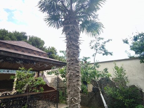 7 otaqlı həyət evi, 350 m², Bakıxanov: 480 000 ₼ 5