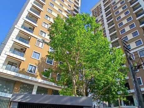 3-комнатная квартира, 137 м², Nəriman Nərimanov: 360 000 ₼ 4