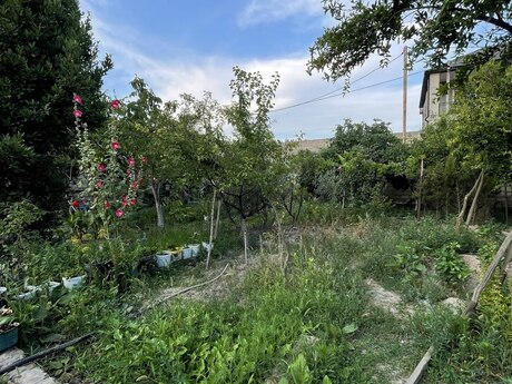 7 otaqlı həyət evi, 200 m², Novxanı: 223 000 ₼ 5