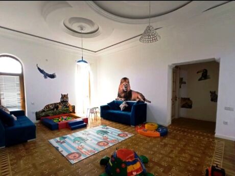 Elan №6273437 - Bakı, Gənclik m., 600 m²