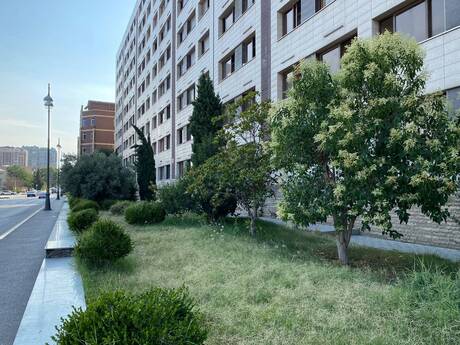2 otaqlı mənzil, 65 m², Nərimanov: 219 000 ₼ 3