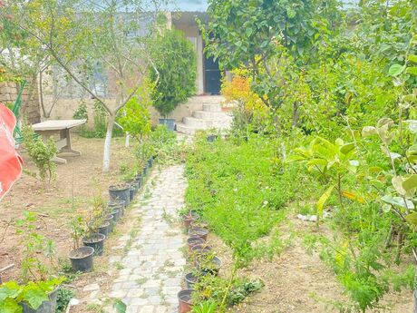 3 otaqlı həyət evi/bağ evi - Albalılıq q. - 113 m²