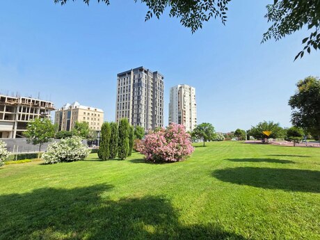 Elan №6277327 - Bakı, Nizami m., 1 otaqlı, 71 m², 10/16 mərtəbə