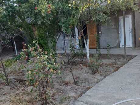 Elan №6278029 - Bakı, Albalılıq q., 3 otaqlı, 82 m²