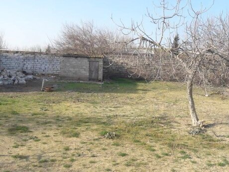 Elan №6278901 - Bakı, Sabunçu r., 5 sot