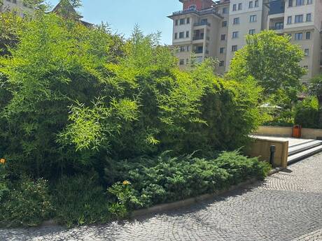 3 otaqlı yeni tikili - Nərimanov r. - 166 m²