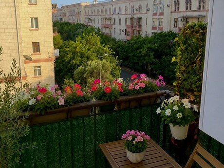 2 otaqlı mənzil, 43 m², Nəriman Nərimanov: 171 000 ₼ 5