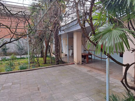 7 otaqlı həyət evi/bağ evi - Lənkəran - 318.8 m²