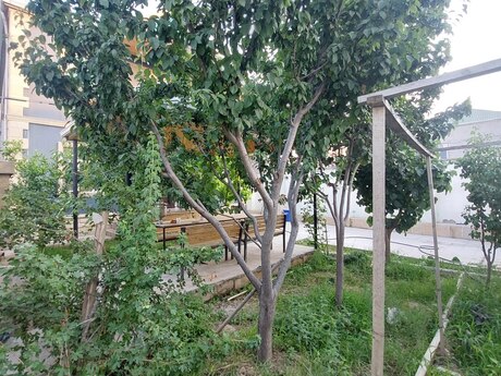 6 otaqlı həyət evi/bağ evi - Masazır q. - 200 m²