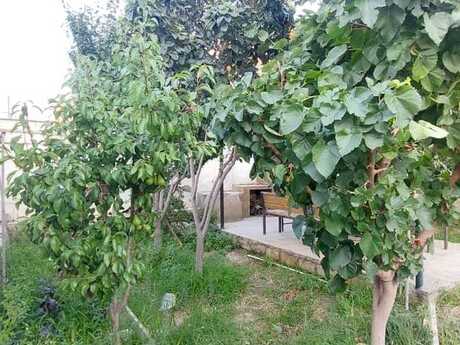 6 otaqlı həyət evi/bağ evi - Masazır q. - 200 m²