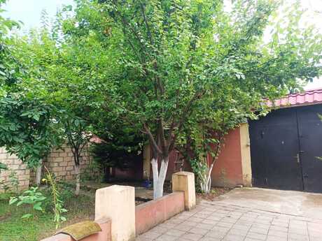 3 otaqlı həyət evi/bağ evi - Quba - 100 m²
