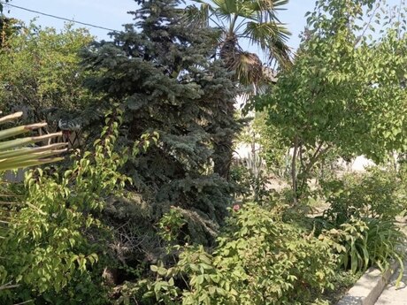 5 otaqlı həyət evi, 280 m², Nardaran: 280 000 ₼ 3