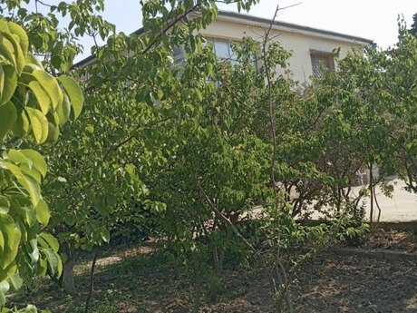 5 otaqlı həyət evi, 280 m², Nardaran: 280 000 ₼ 4