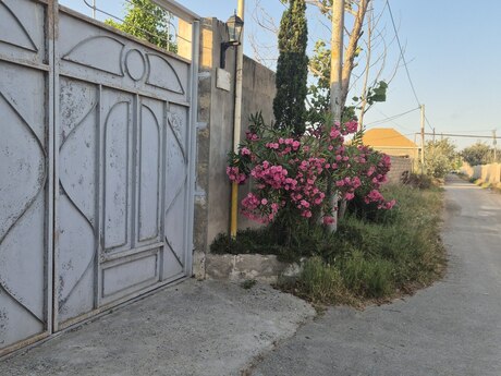 4 otaqlı həyət evi, 110 m², Buzovna: 300 000 ₼ 2