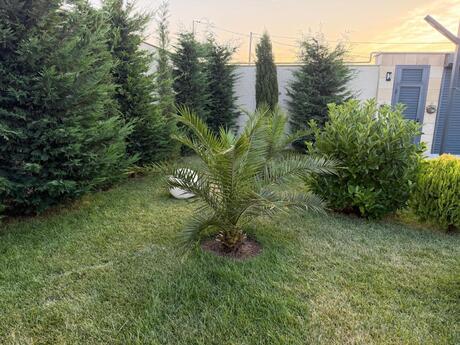 6 otaqlı həyət evi/bağ evi - Şüvəlan q. - 280 m²
