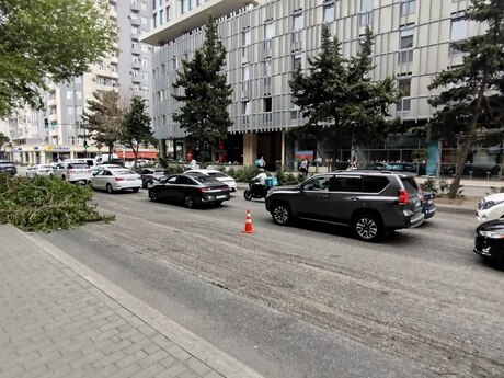 Elan №6287778 - Bakı, Nizami m., 60 m²