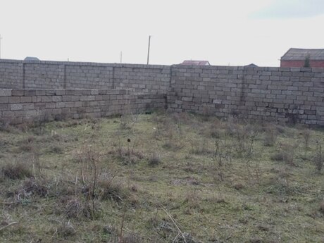 Torpaq - Buzovna q. - 6 sot