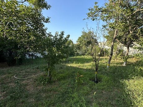 2 otaqlı həyət evi, 37 m², Novxanı: 139 000 ₼ 5