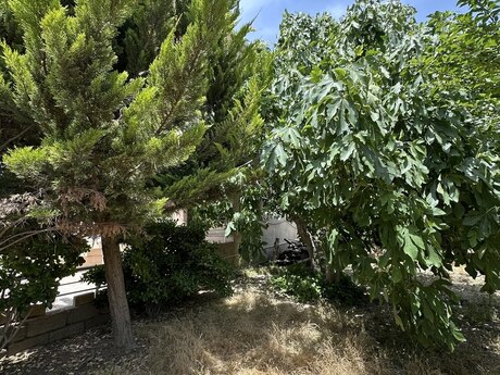 5 otaqlı həyət evi, 200 m², Hövsan: 159 000 ₼ 4