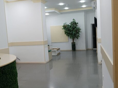 Объект - м. Элмляр Академиясы - 500 м²