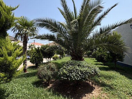 5 otaqlı həyət evi, 200 m², Şüvəlan: 350 000 ₼ 2