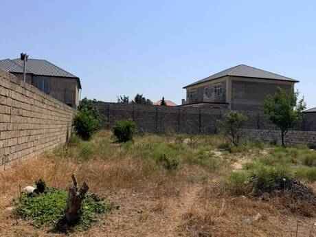 Elan №6293736 - Bakı, Albalılıq q., 5 sot