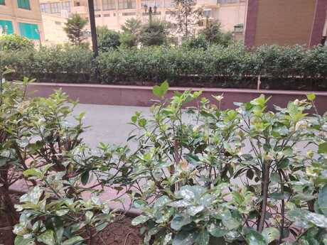 4 otaqlı mənzil, 250 m², 28 May: 800 000 ₼ 2