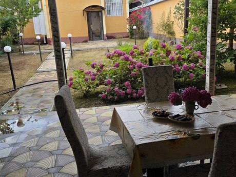 3 otaqlı həyət evi/bağ evi - Qəbələ - 90 m²