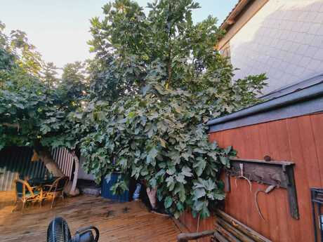 3 otaqlı həyət evi, 120 m², Şüvəlan: 350 000 ₼ 3