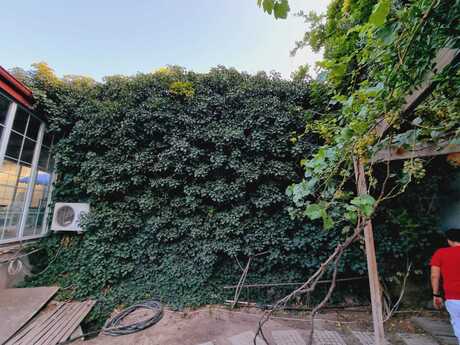 3 otaqlı həyət evi, 120 m², Şüvəlan: 350 000 ₼ 4