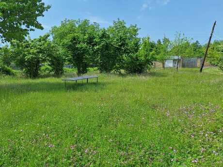 4 otaqlı həyət evi/bağ evi - Qəbələ - 120 m²