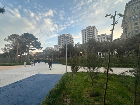 Elan №6295652 - Bakı, Gənclik m., 3 otaqlı, 112 m², 15/17 mərtəbə