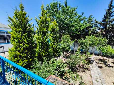 6 otaqlı həyət evi/bağ evi - Mərdəkan q. - 300 m²
