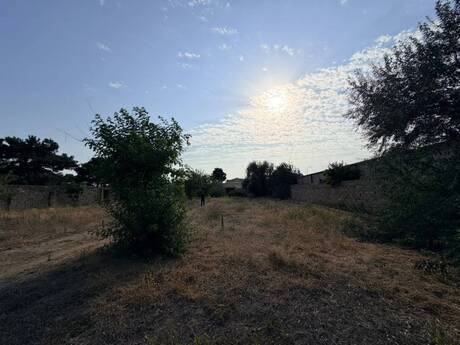 Elan №6298304 - Bakı, Buzovna q., 24 sot