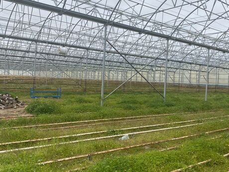Obyekt - Zirə q. - 1500 m²
