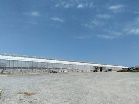 Obyekt - Zirə q. - 1500 m²