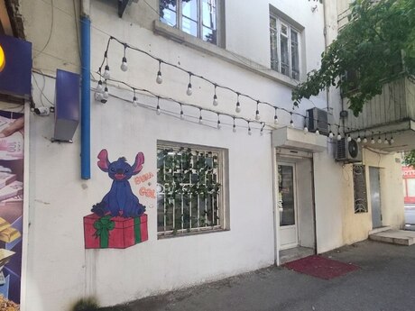 Elan №6288426 - Bakı, Nərimanov r., 21 m²