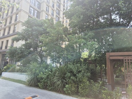 Kirayə 2 otaqlı mənzil, 60 m², Nəriman Nərimanov: 1 200 ₼/ay 5