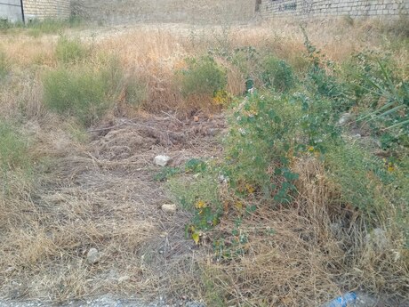 Elan №6302362 - Bakı, Badamdar q., 6 sot
