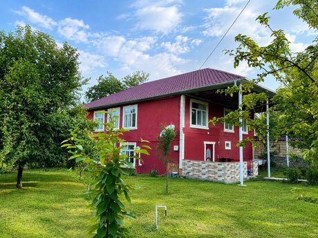 4 otaqlı həyət evi/bağ evi - Qəbələ - 200 m²