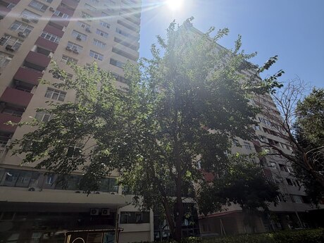 3 otaqlı yeni tikili - Nəsimi r. - 168 m²