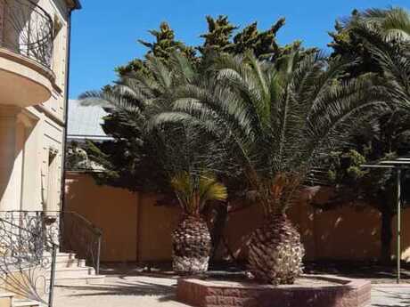 5 otaqlı həyət evi, 290 m², Buzovna: 500 000 ₼ 4