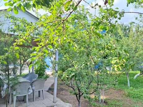 3 otaqlı həyət evi/bağ evi - İsmayıllı - 100 m²