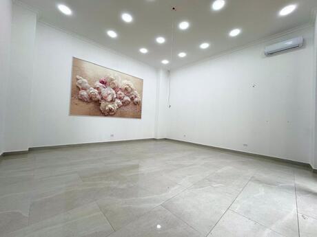 Obyekt - 28 May m. - 40 m²